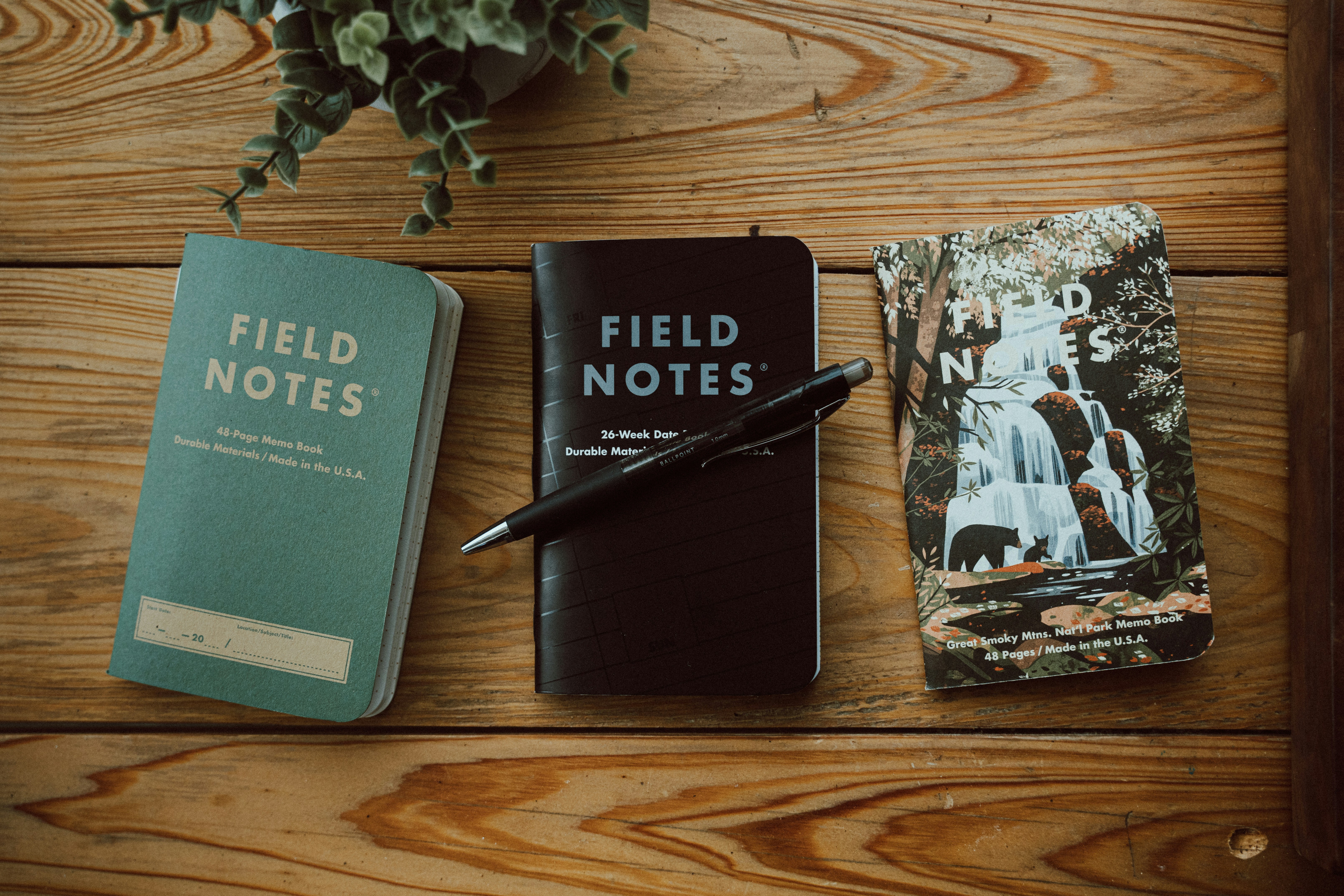 Field notes